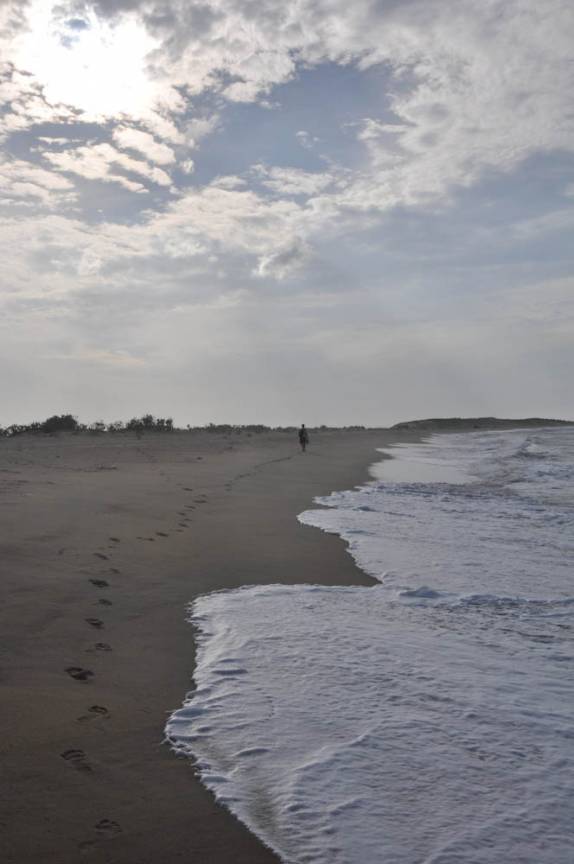 Caminhando na praia de Galinhos - RN